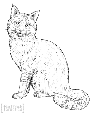 Asian Jungle Cat Sits Coloring Page